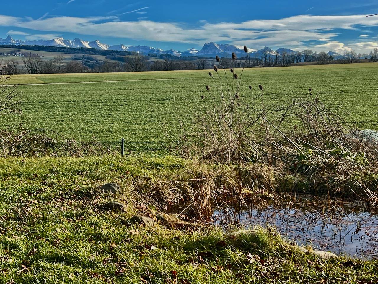 Granja ecuestre En venta Friburgo