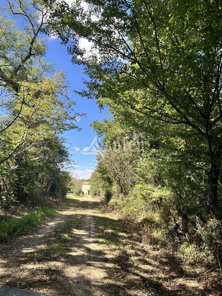 Explotación agrícola En venta Gers