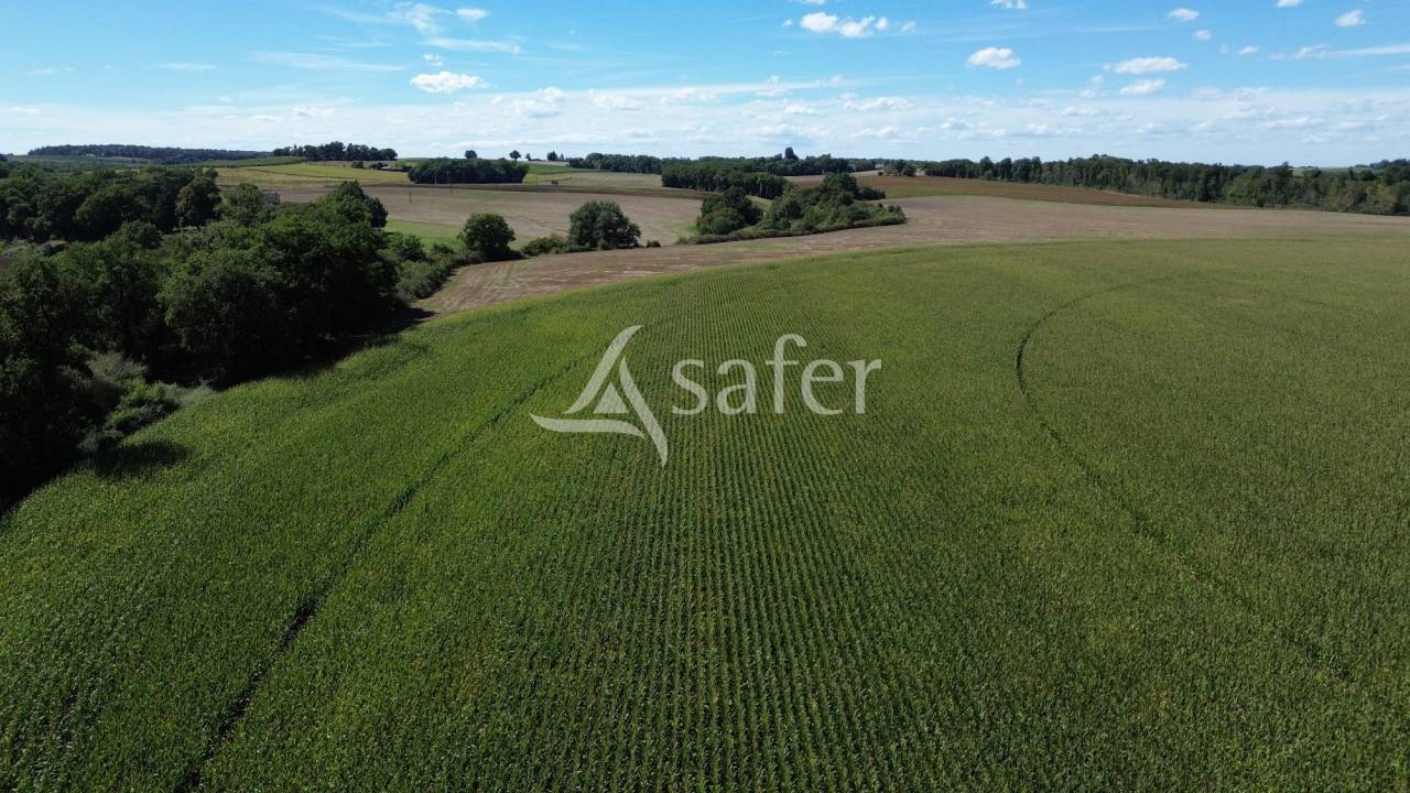 Explotación agrícola En venta Gers