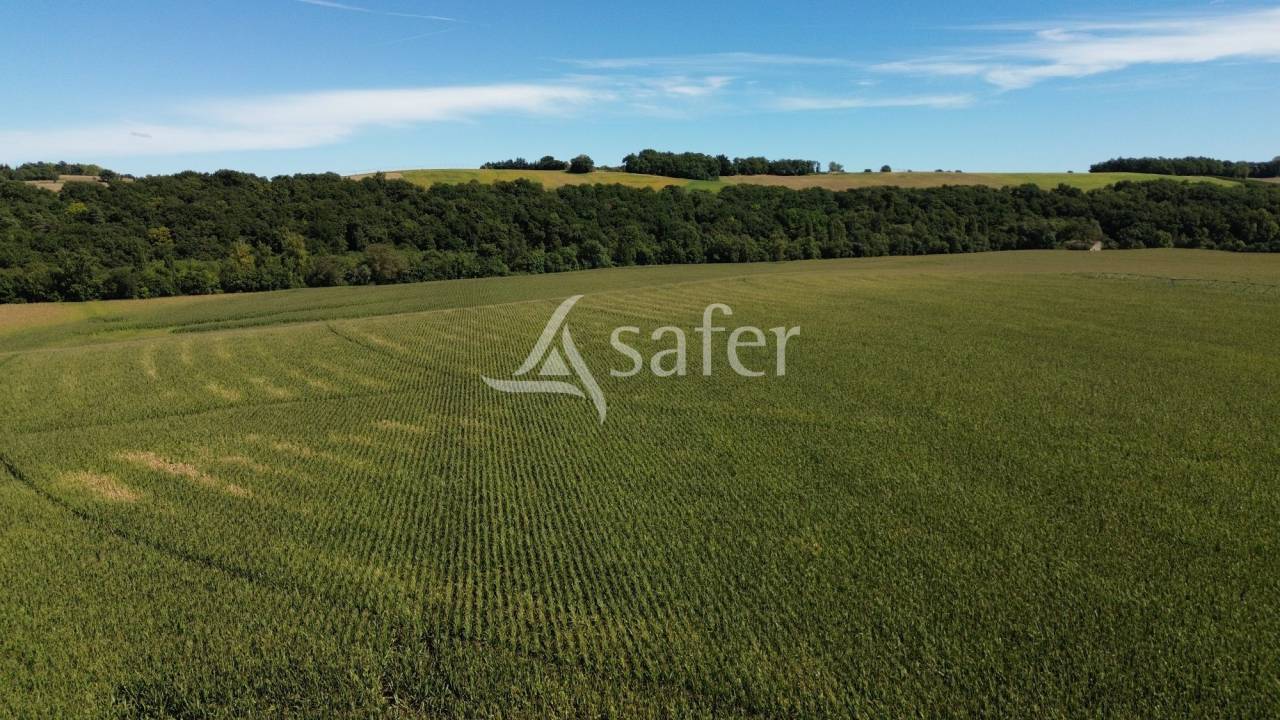 Explotación agrícola En venta Gers