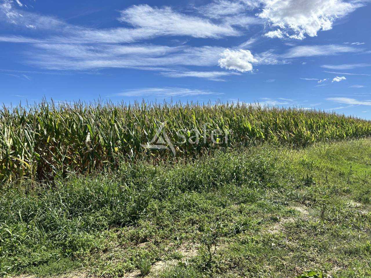 Explotación agrícola En venta Gers
