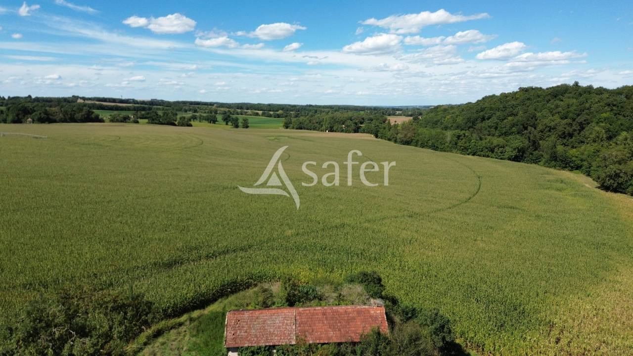Explotaci&oacute;n agr&iacute;cola En venta Gers