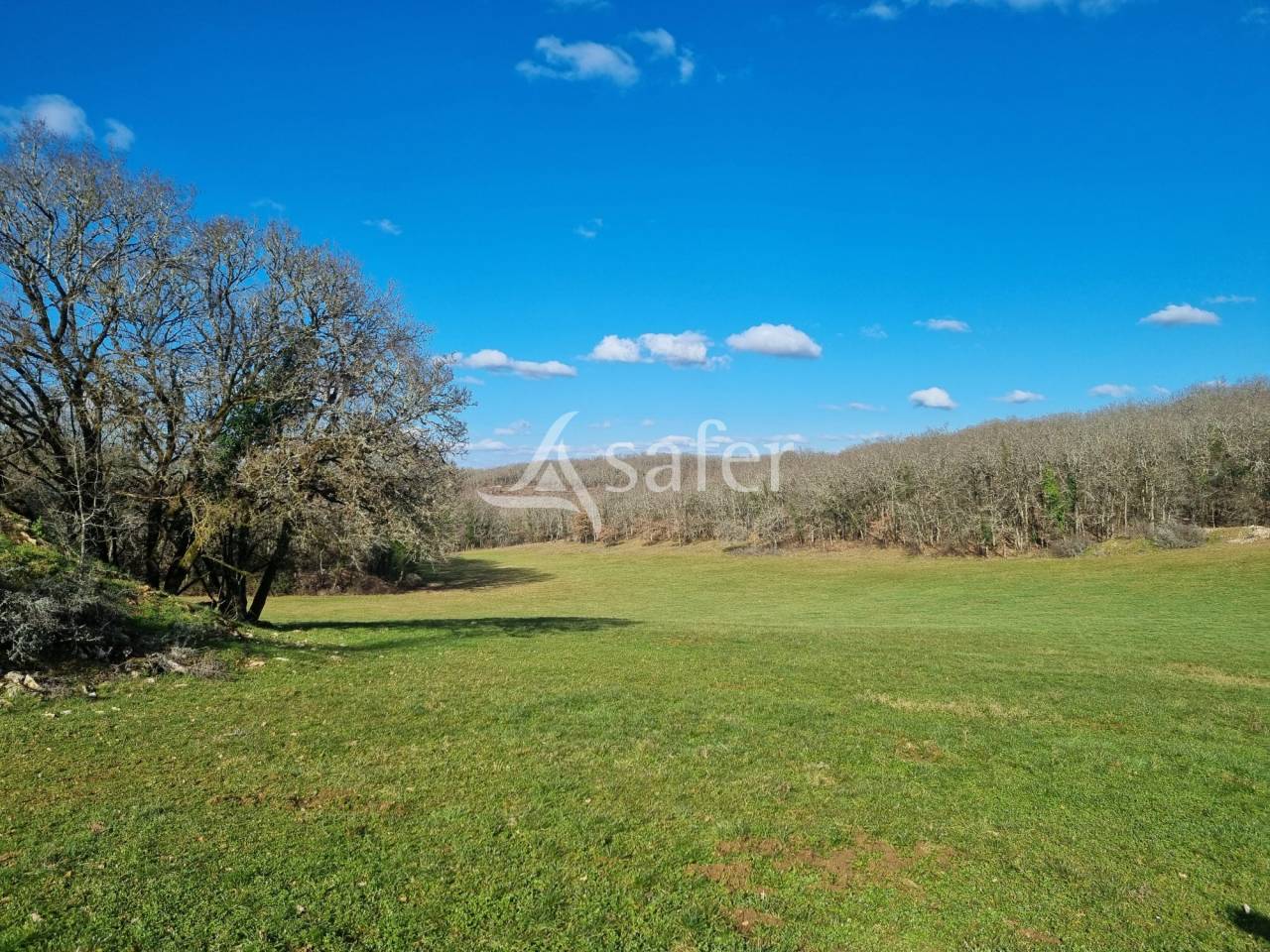 Propiedad rural En venta Lot