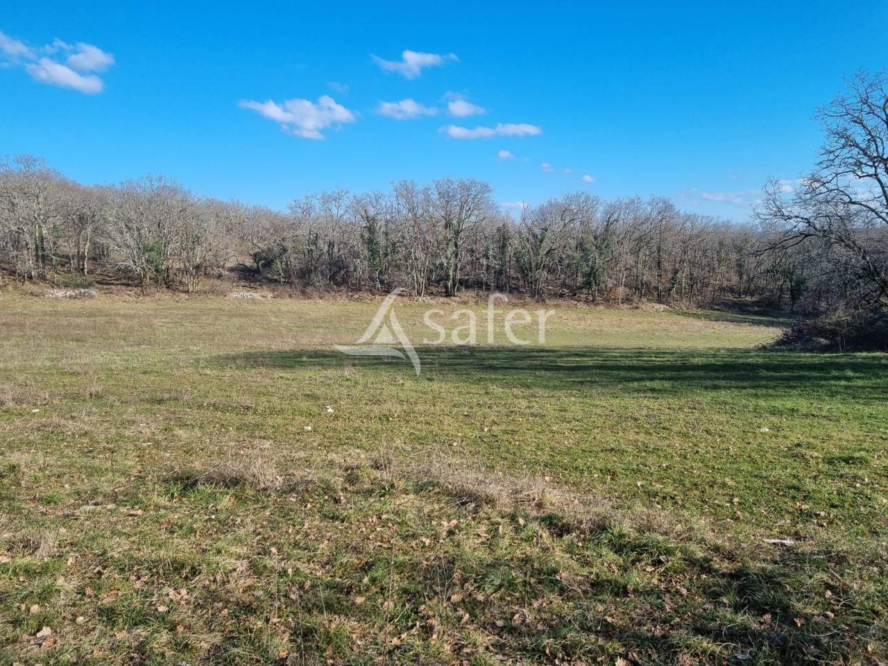 Propiedad rural En venta Lot