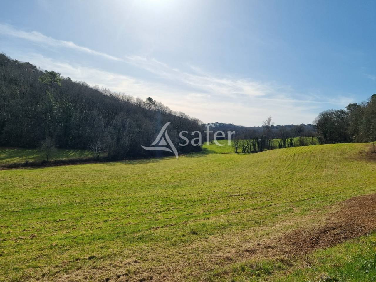 Explotación agrícola En venta Lot