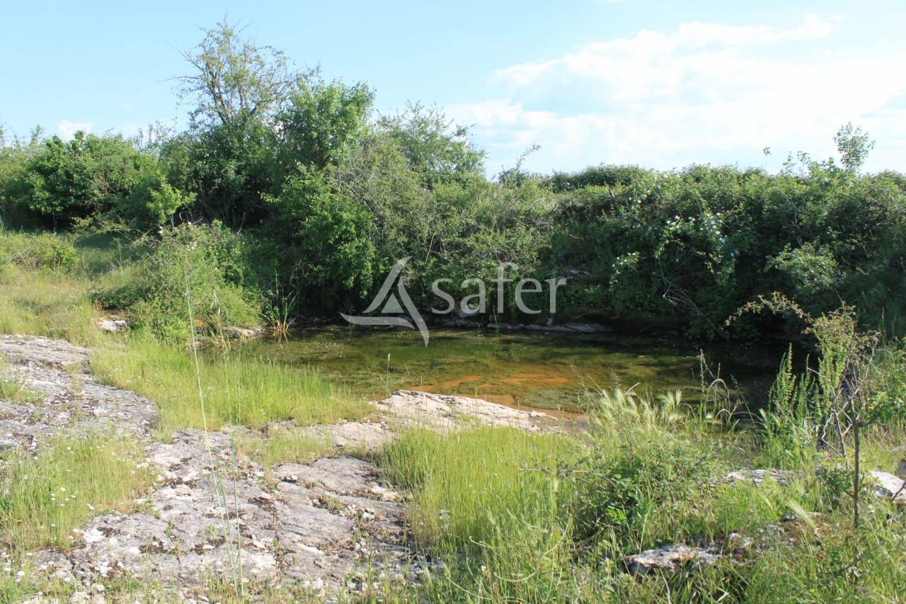 Explotación agrícola En venta Lot