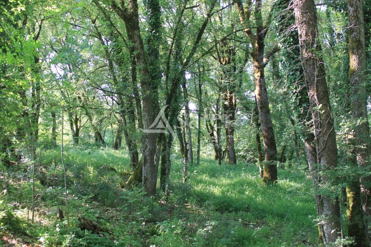 Explotación agrícola En venta Lot