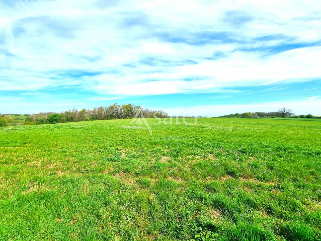 Explotación avícola En venta Tarn y Garona