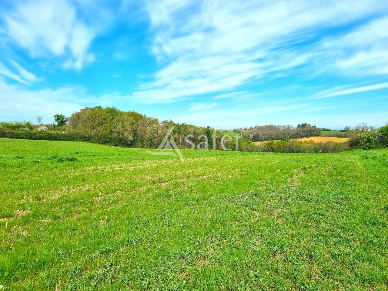 Explotaci&oacute;n av&iacute;cola En venta Tarn y Garona