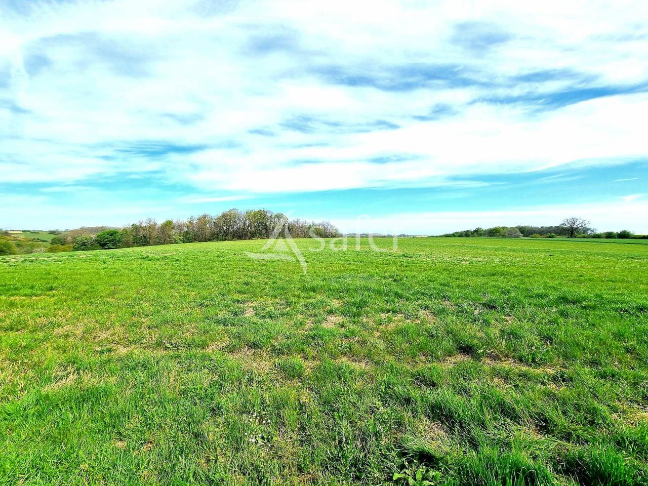 Explotaci&oacute;n av&iacute;cola En venta Tarn y Garona