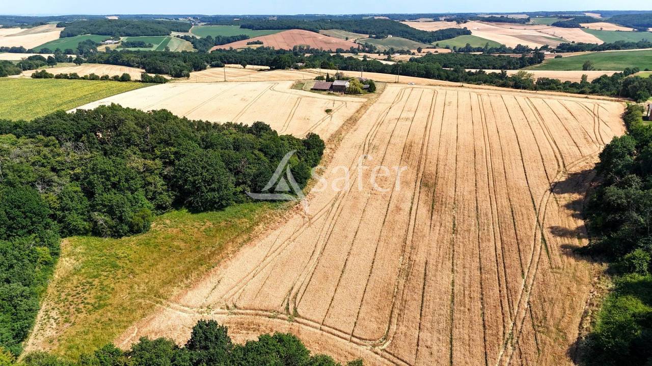Explotaci&oacute;n av&iacute;cola En venta Tarn y Garona
