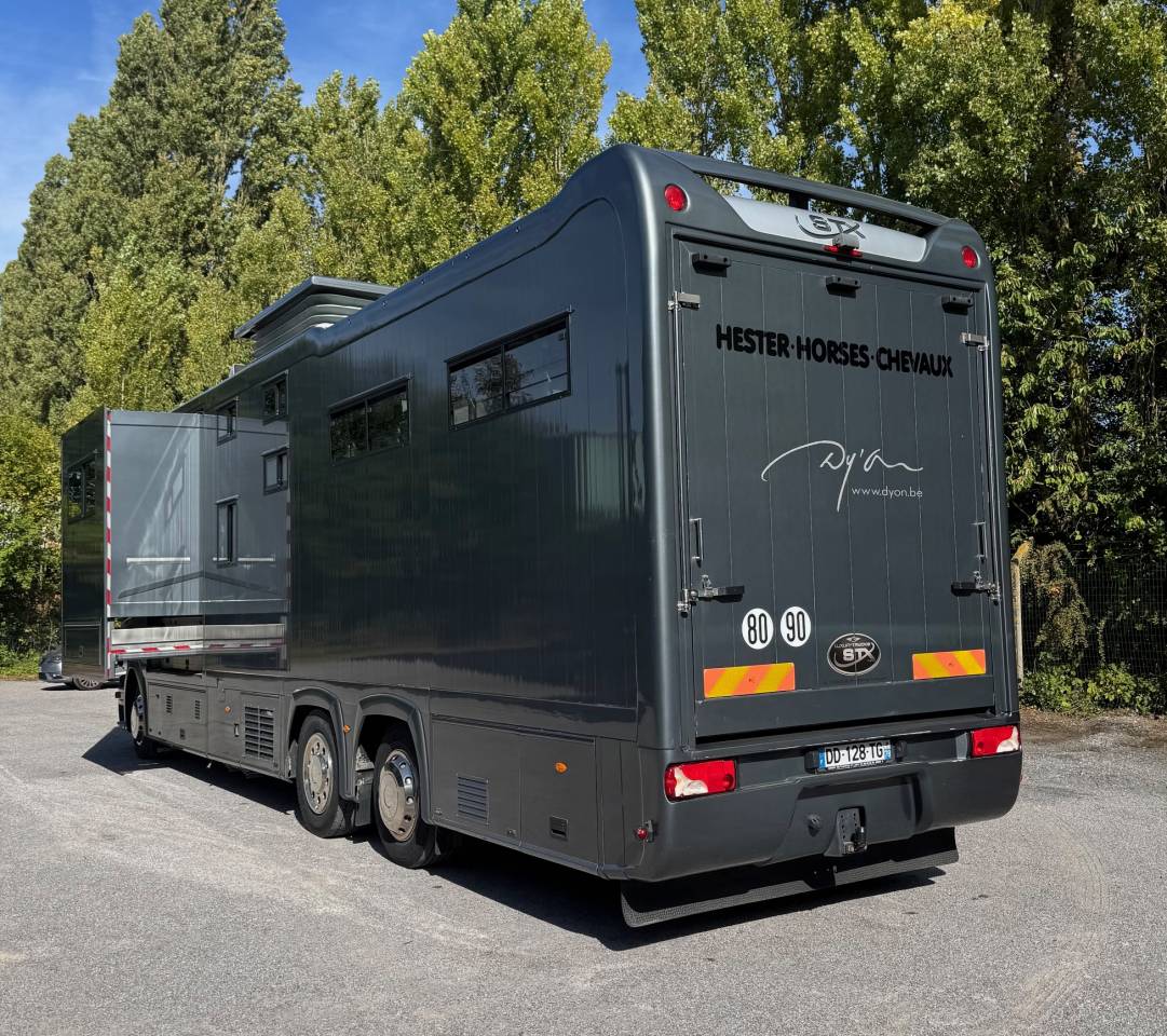 Camión para caballos STX SCANIA 2014 De segunda mano