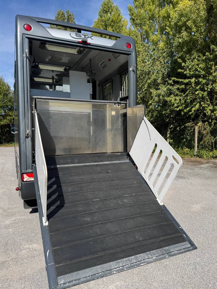 Camión para caballos STX SCANIA 2014 De segunda mano