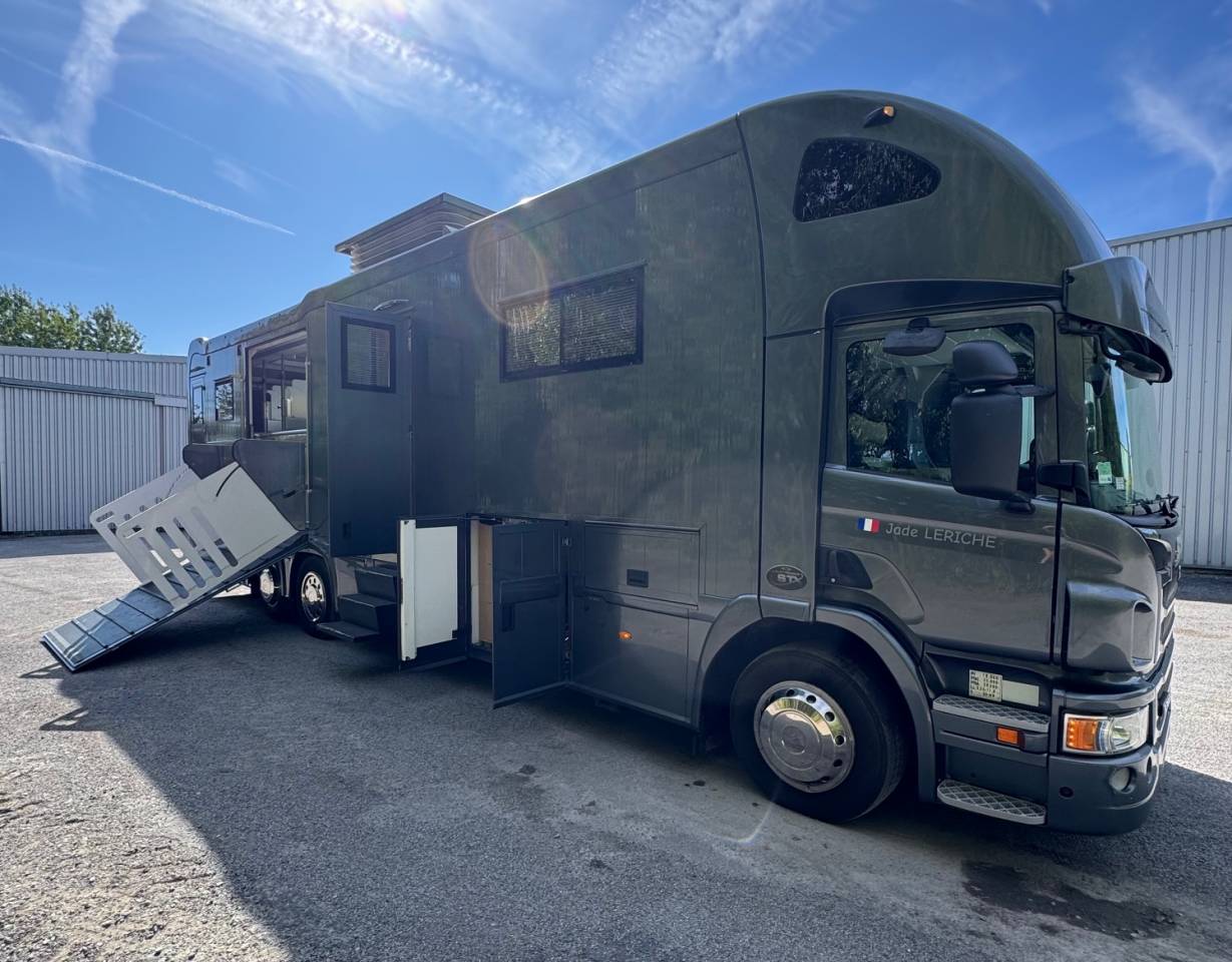 Camión para caballos STX SCANIA 2014 De segunda mano