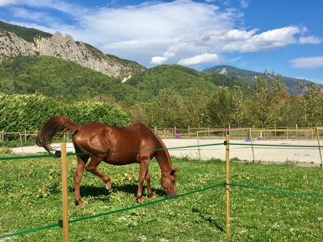 Propiedad ecuestre En venta 