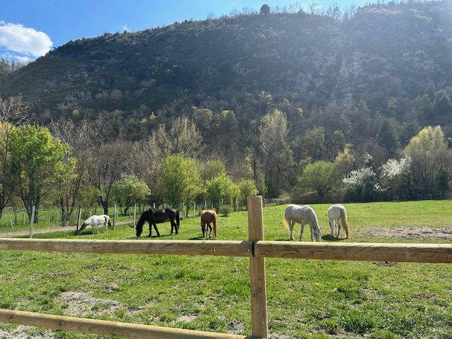 Propiedad ecuestre En venta 