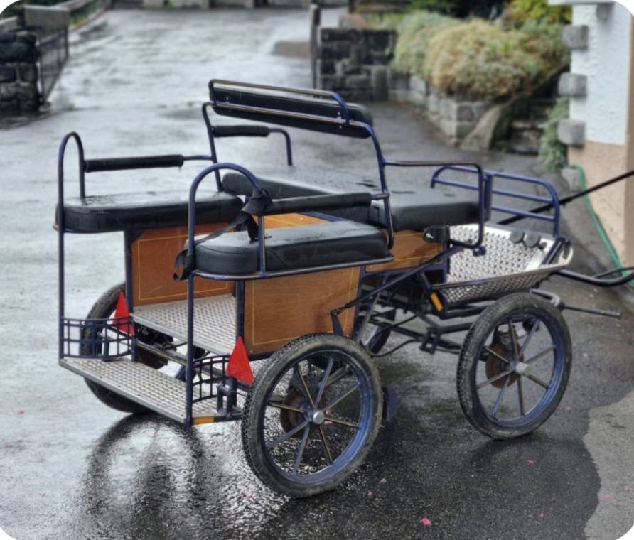 Coche enganches - Vagoneta   