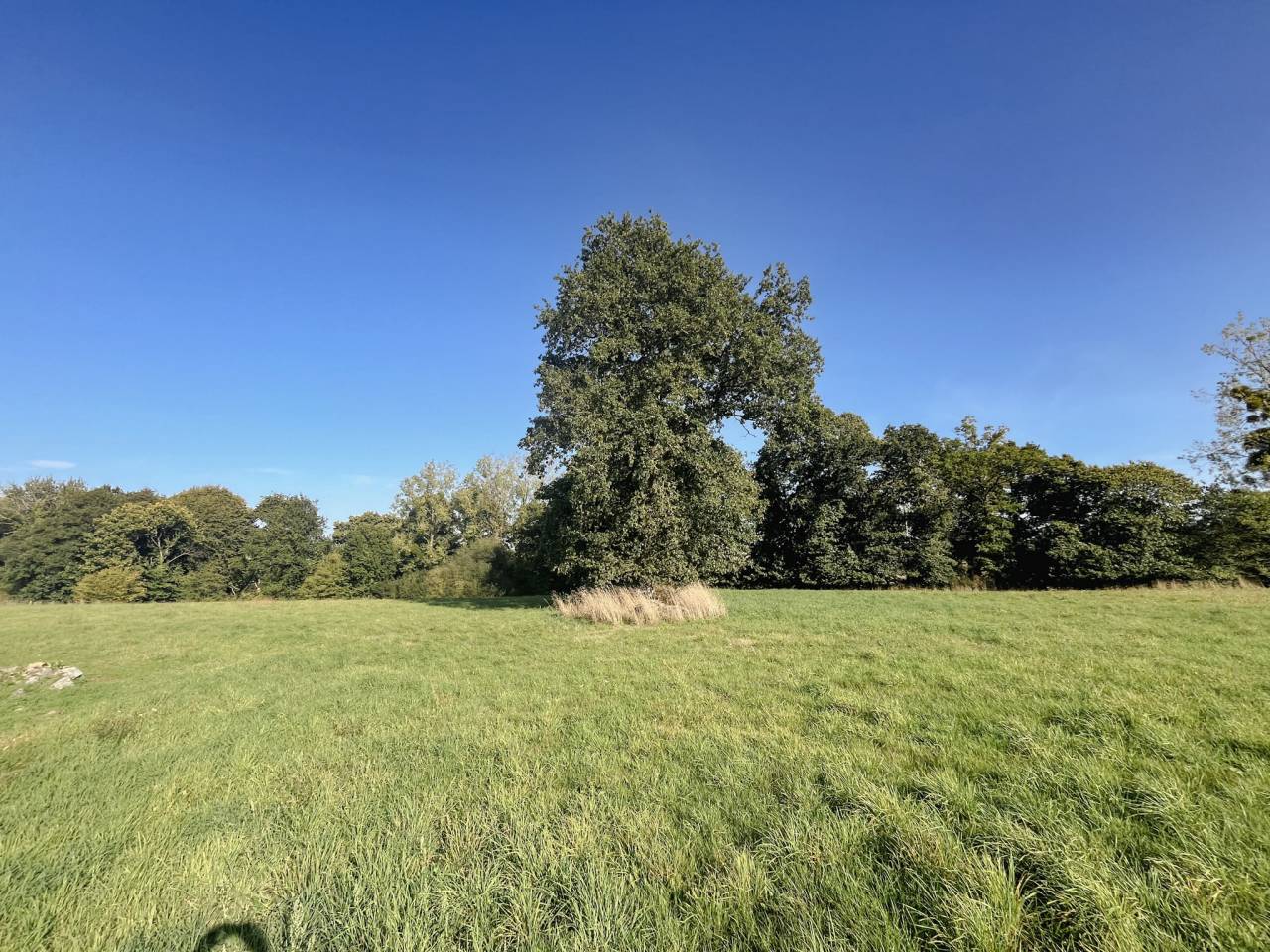 Casa de campo En venta Ile y Vilaine