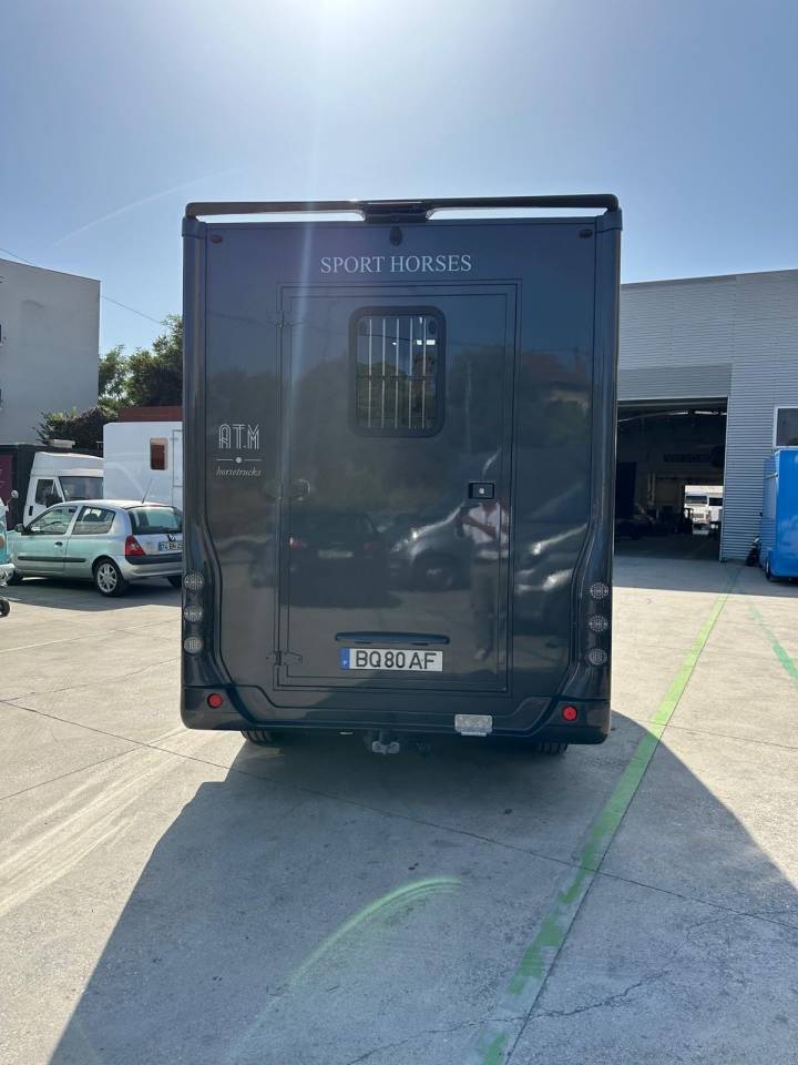 Furgoneta para caballos Renault Renault master 2024 Nuevo