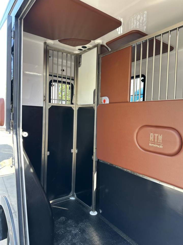 Furgoneta para caballos Renault Renault master 2024 Nuevo