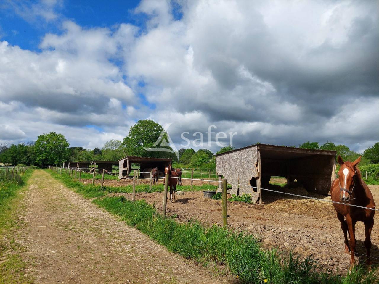 Propiedad ecuestre En venta Loira Atl&aacute;ntico