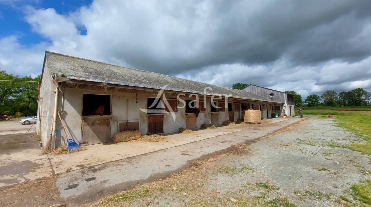 Propiedad ecuestre En venta Loira Atl&aacute;ntico