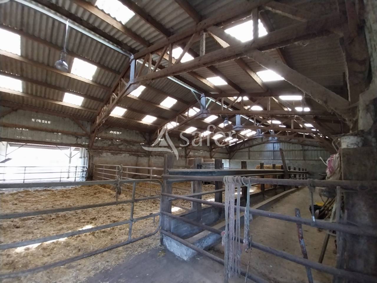 Explotación agrícola En venta Loira Atlántico