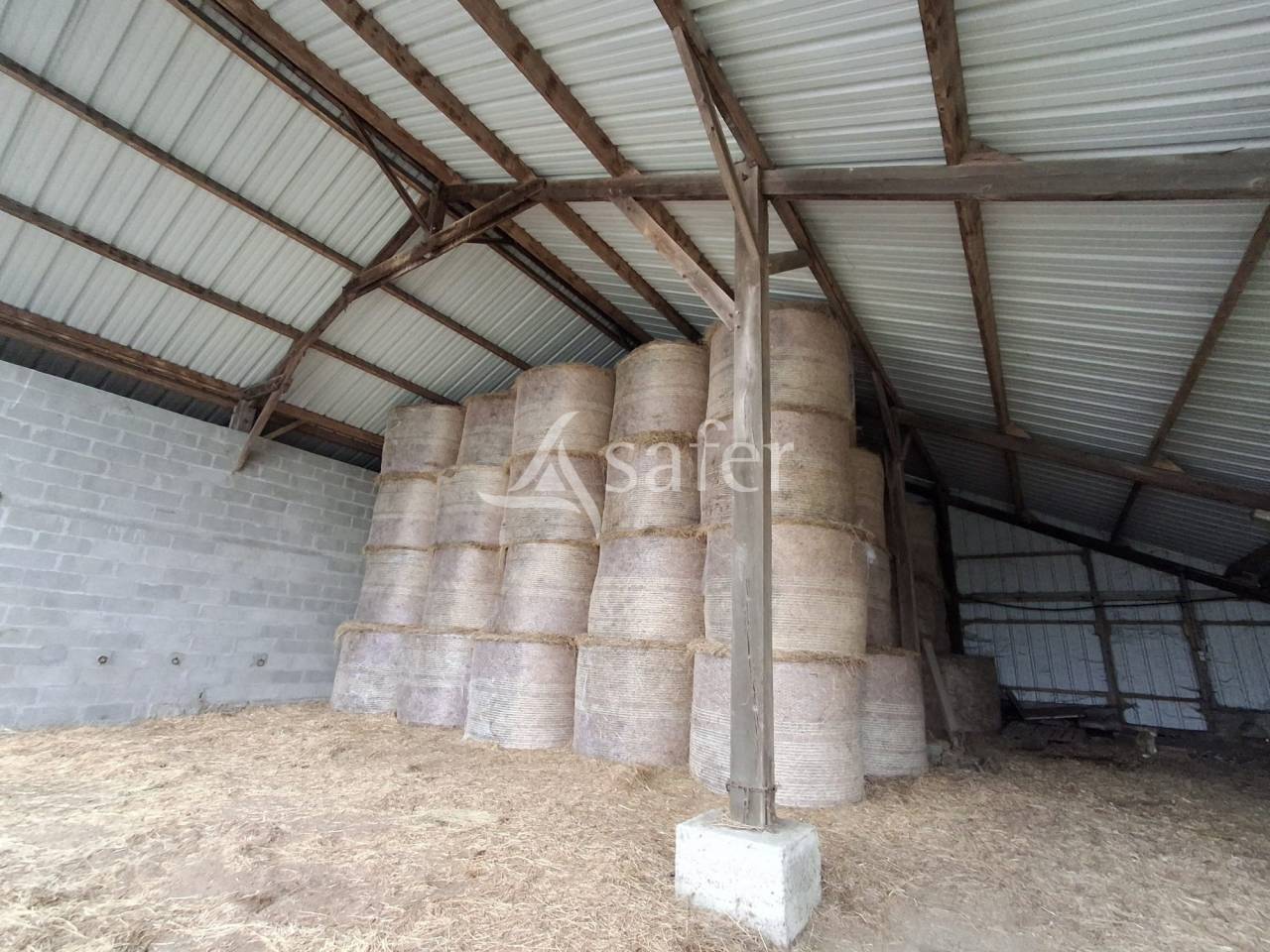 Explotación agrícola En venta Loira Atlántico