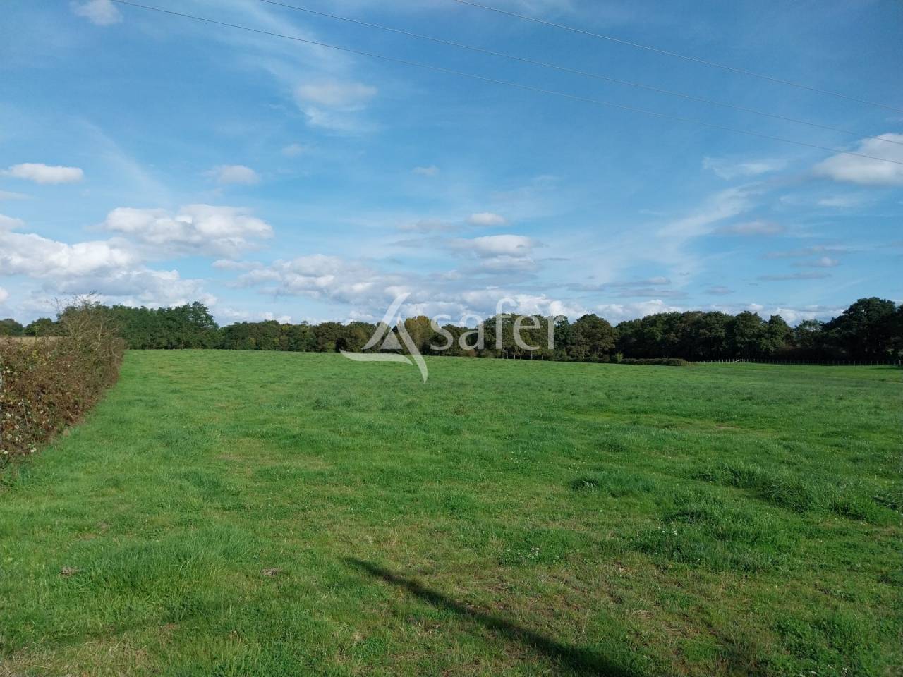 Explotación agrícola En venta Loira Atlántico