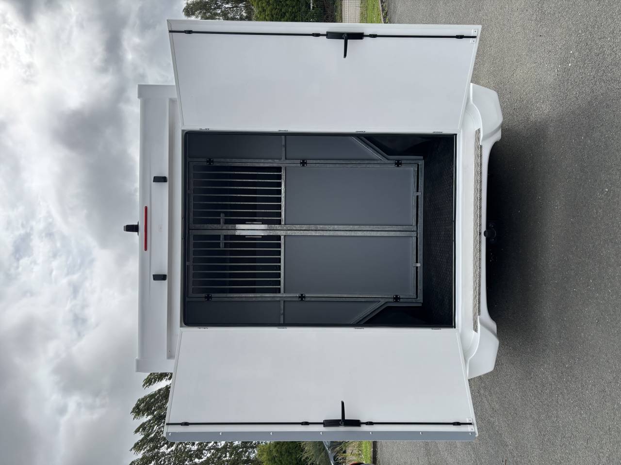 Furgoneta para caballos AP Petit Nissan interstar L3 2025 Nuevo