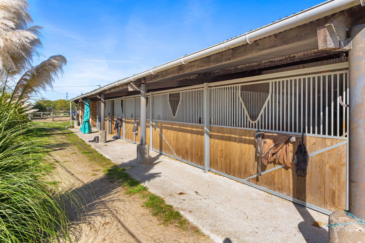 Cuadra de propietarios En venta Loira Atlántico