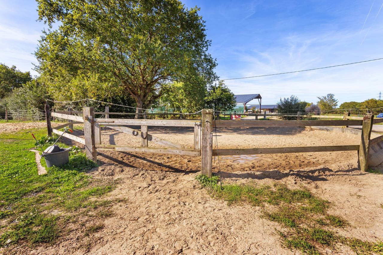 Cuadra de propietarios En venta Loira Atlántico