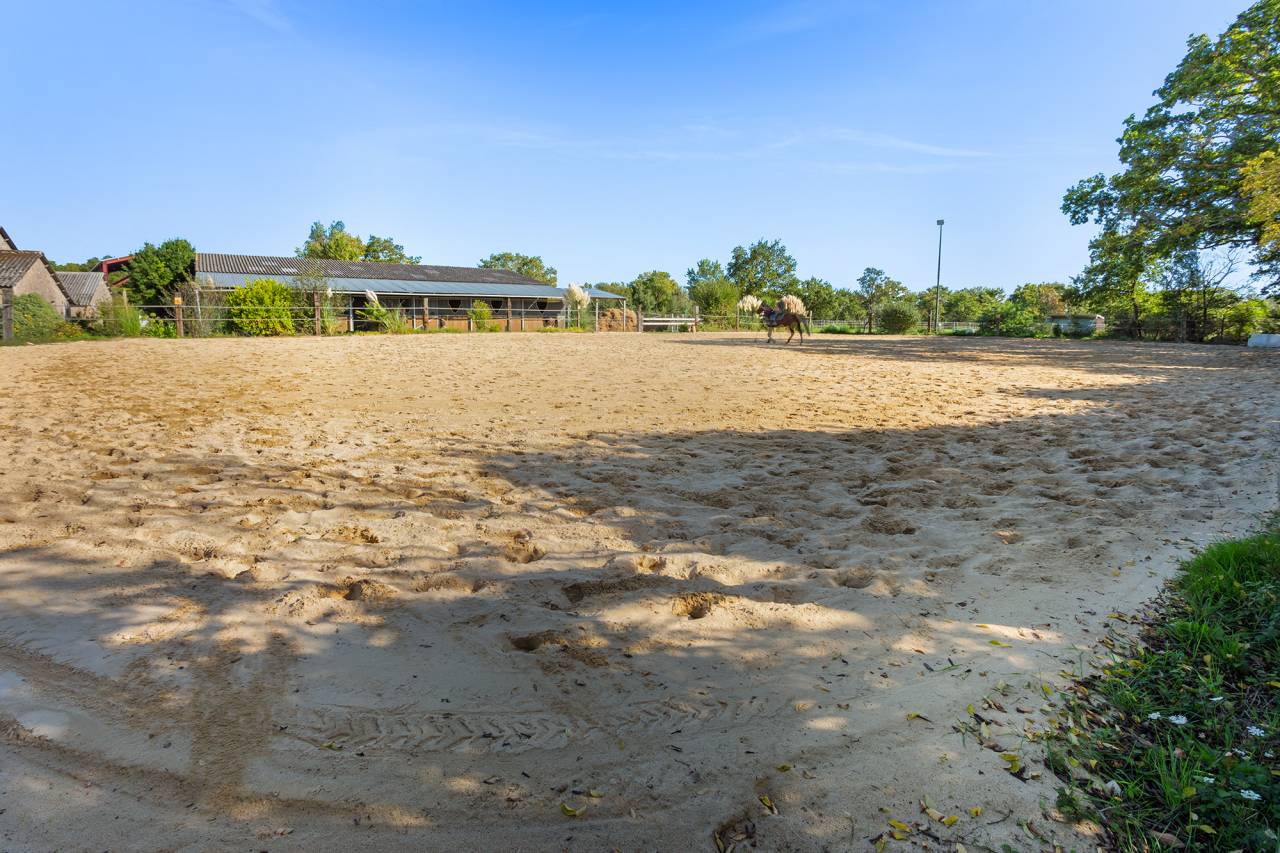 Cuadra de propietarios En venta Loira Atlántico