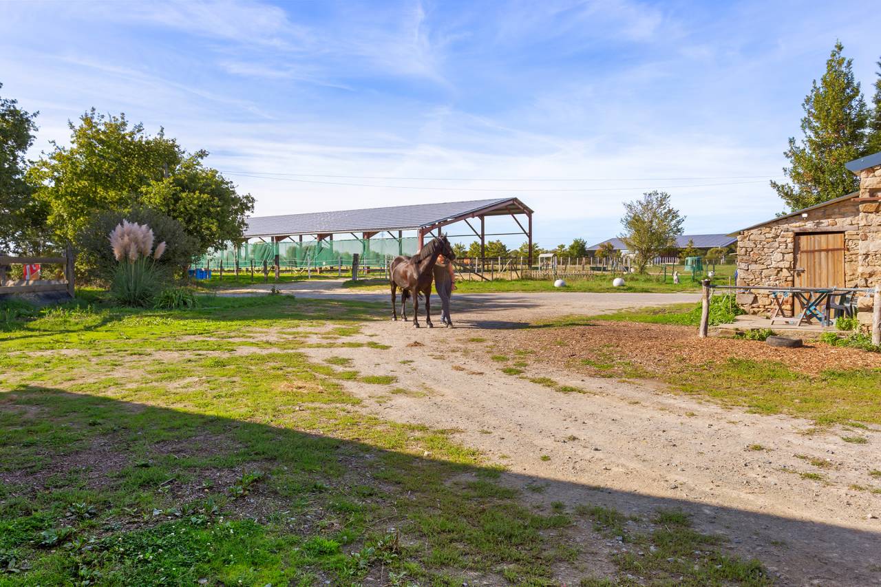 Cuadra de propietarios En venta Loira Atlántico