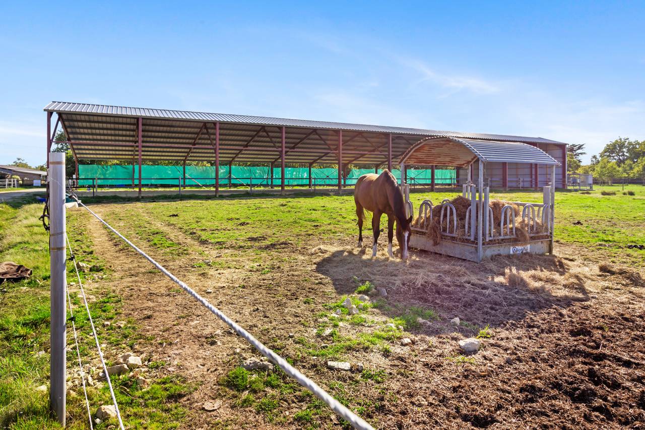 Cuadra de propietarios En venta Loira Atlántico