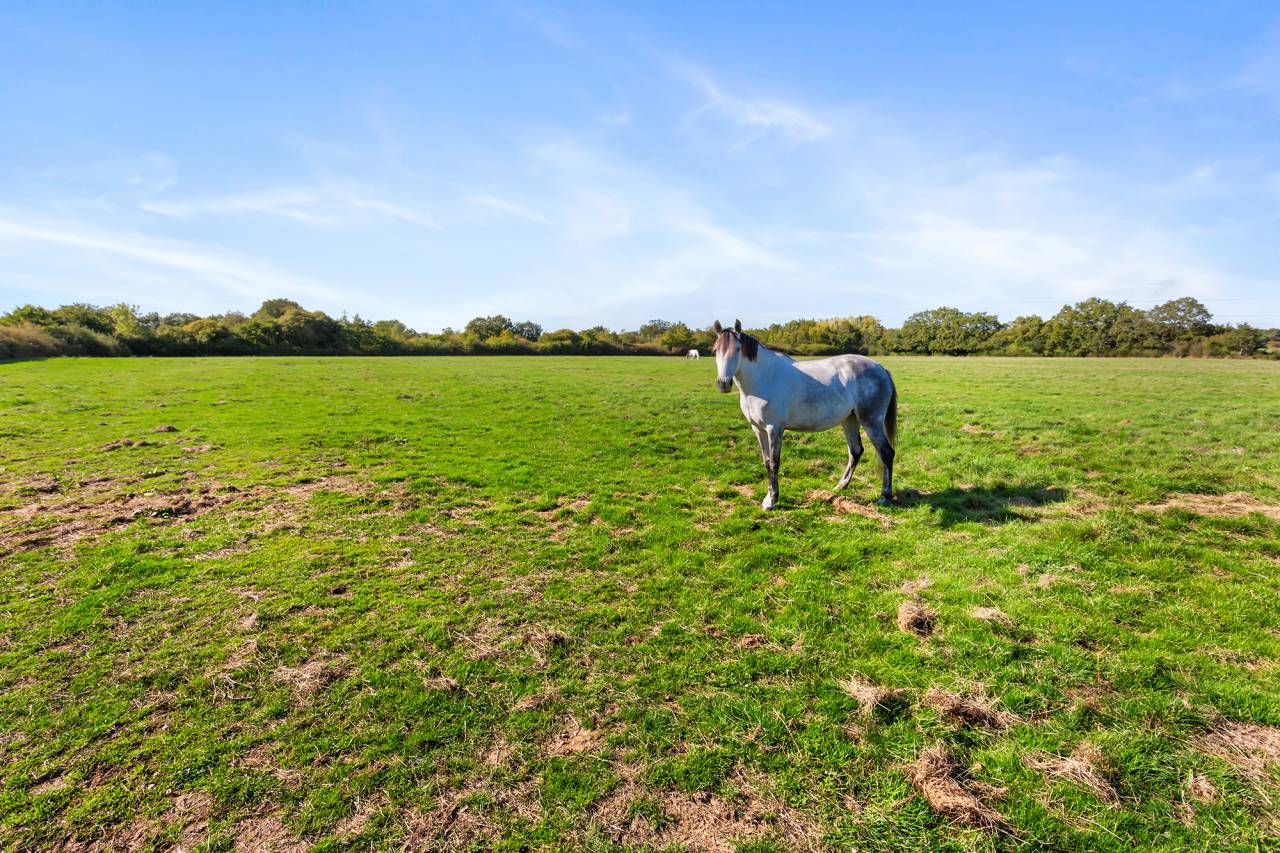 Cuadra de propietarios En venta Loira Atlántico