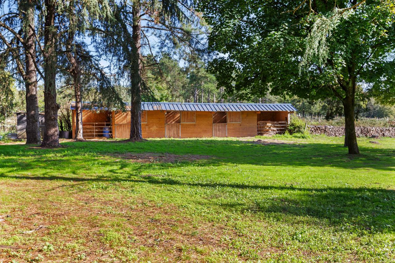 Bonita residencia ecuestre En venta Loira Atlántico