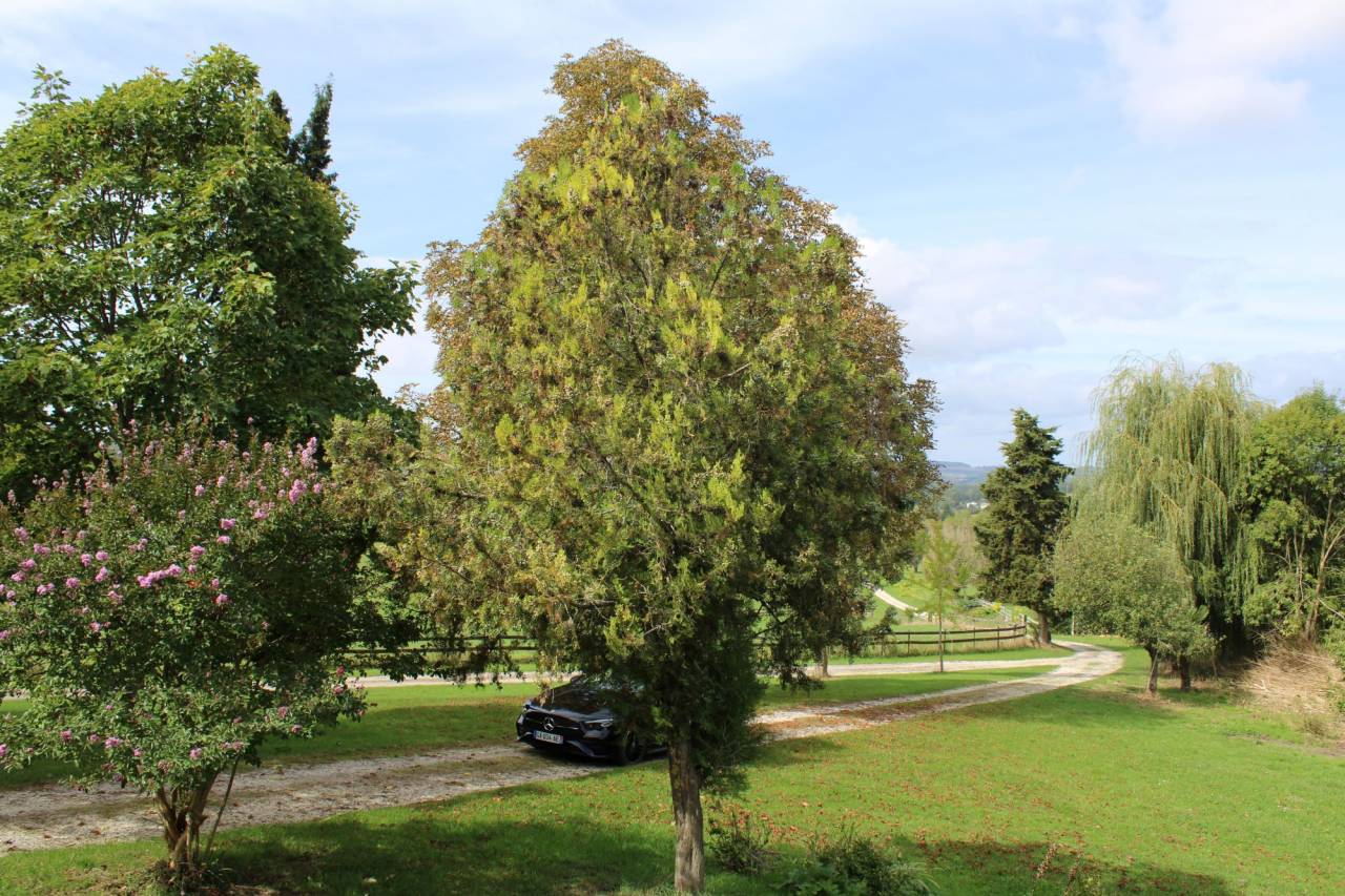 Propiedad ecuestre En venta Lot y Garona