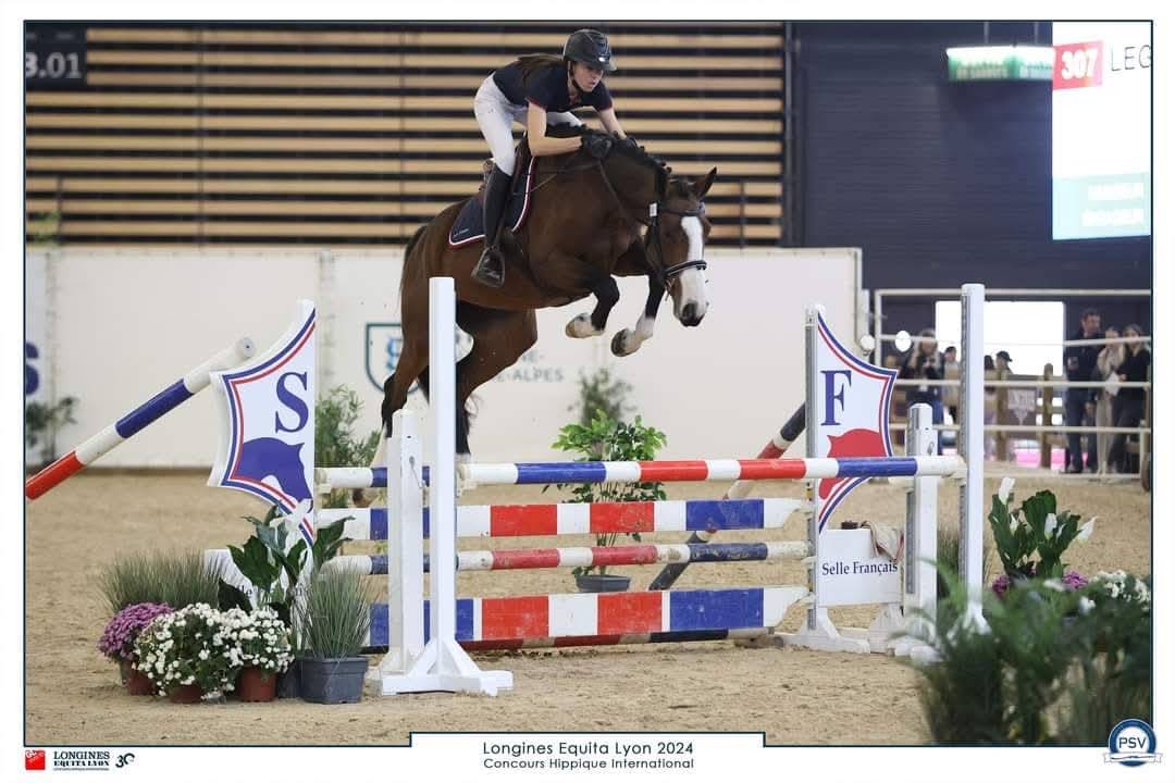 Potranca Silla Francés En venta 2025 Bayo moreno por ESMERALDO