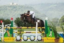 Potranca Silla Francés En venta 2025 Bayo moreno por ESMERALDO