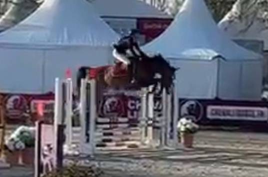 Potranca Silla Francés En venta 2025 Bayo moreno por ESMERALDO