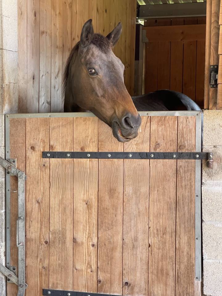 Propiedad ecuestre En venta Gironda