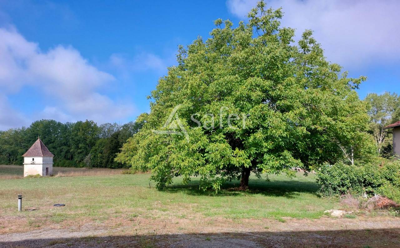 Explotación ovina En venta Dordoña