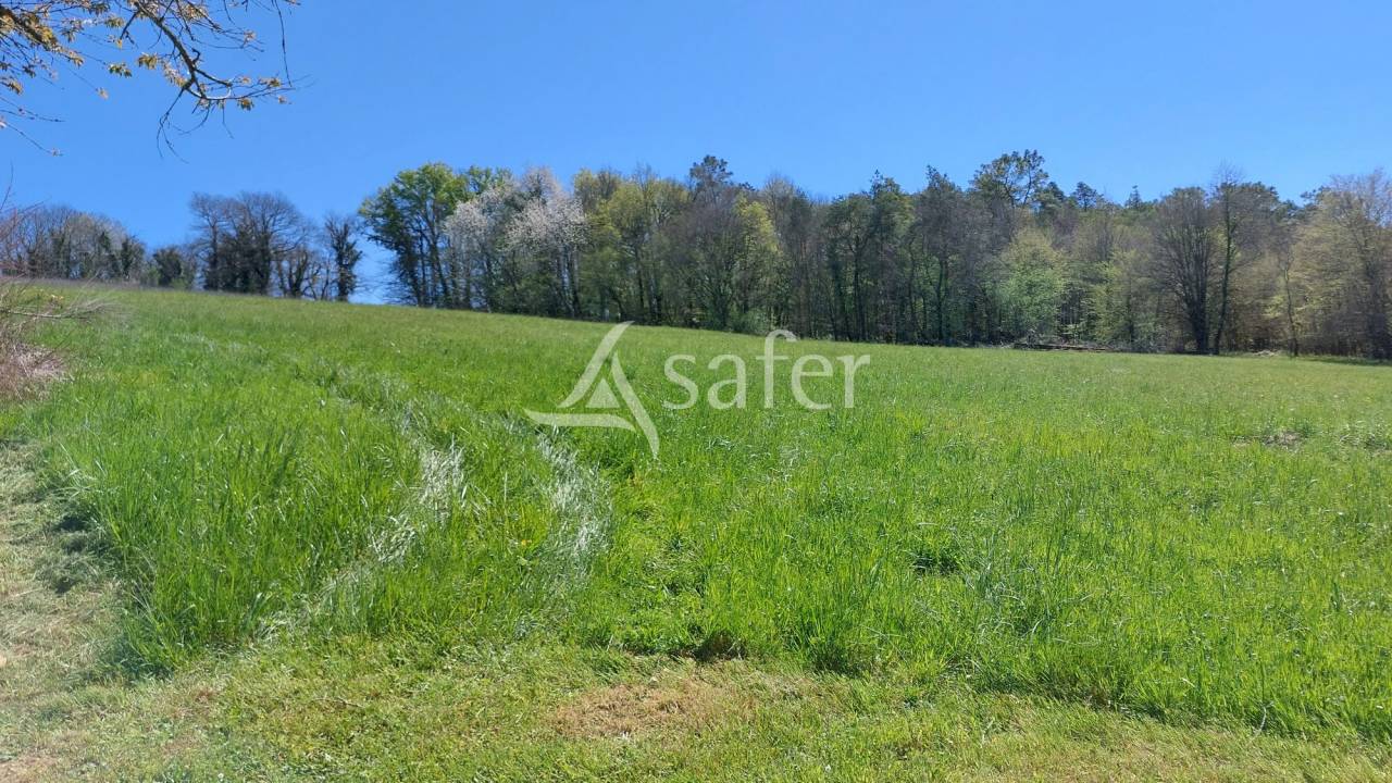 Explotación ovina En venta Dordoña