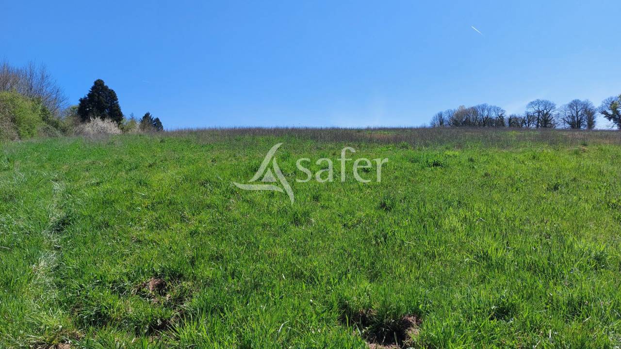 Explotación ovina En venta Dordoña