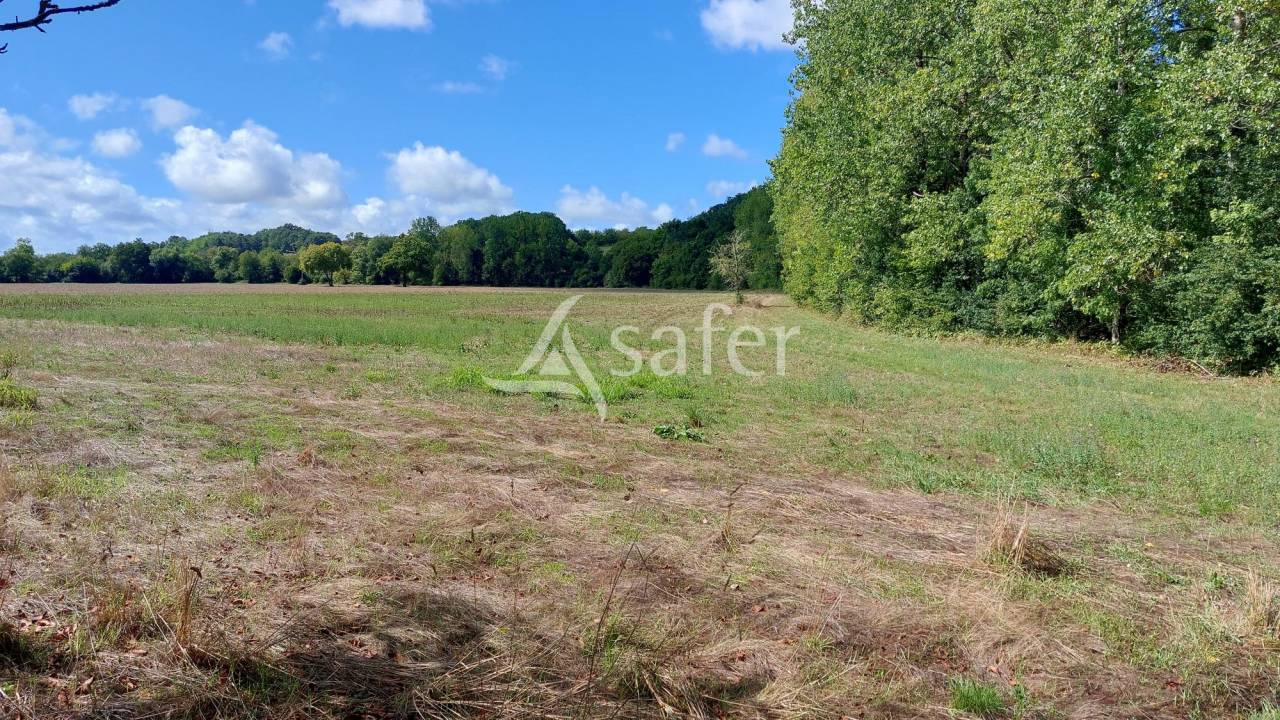 Explotación ovina En venta Dordoña