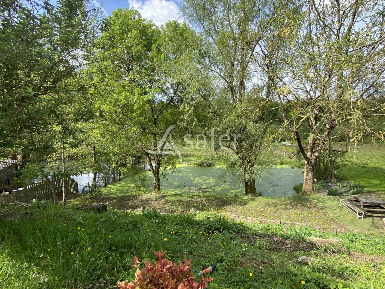 Propiedad ecuestre En venta Ain