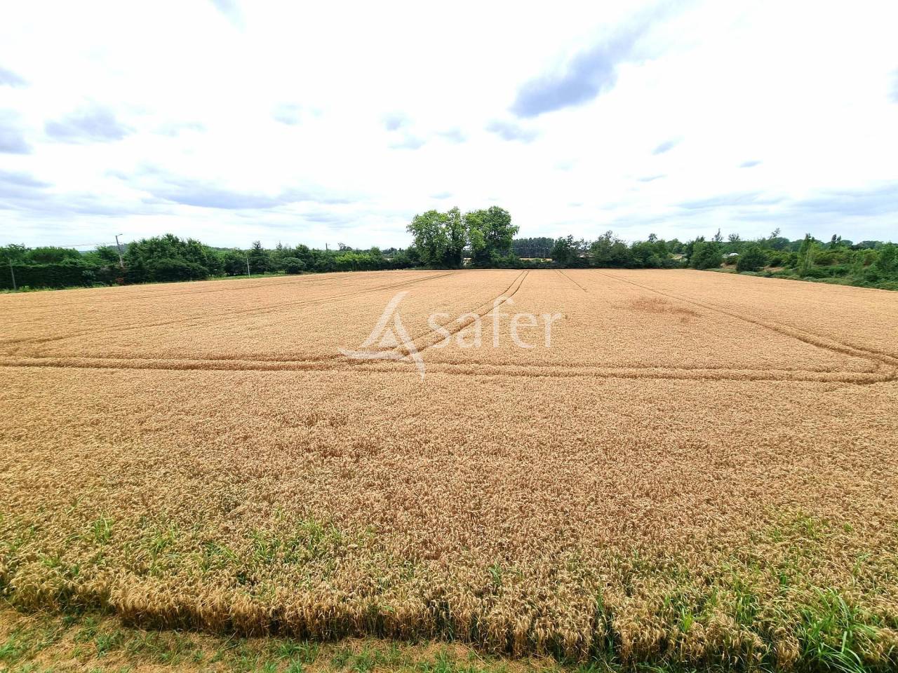 Propiedad rural En venta Tarn y Garona