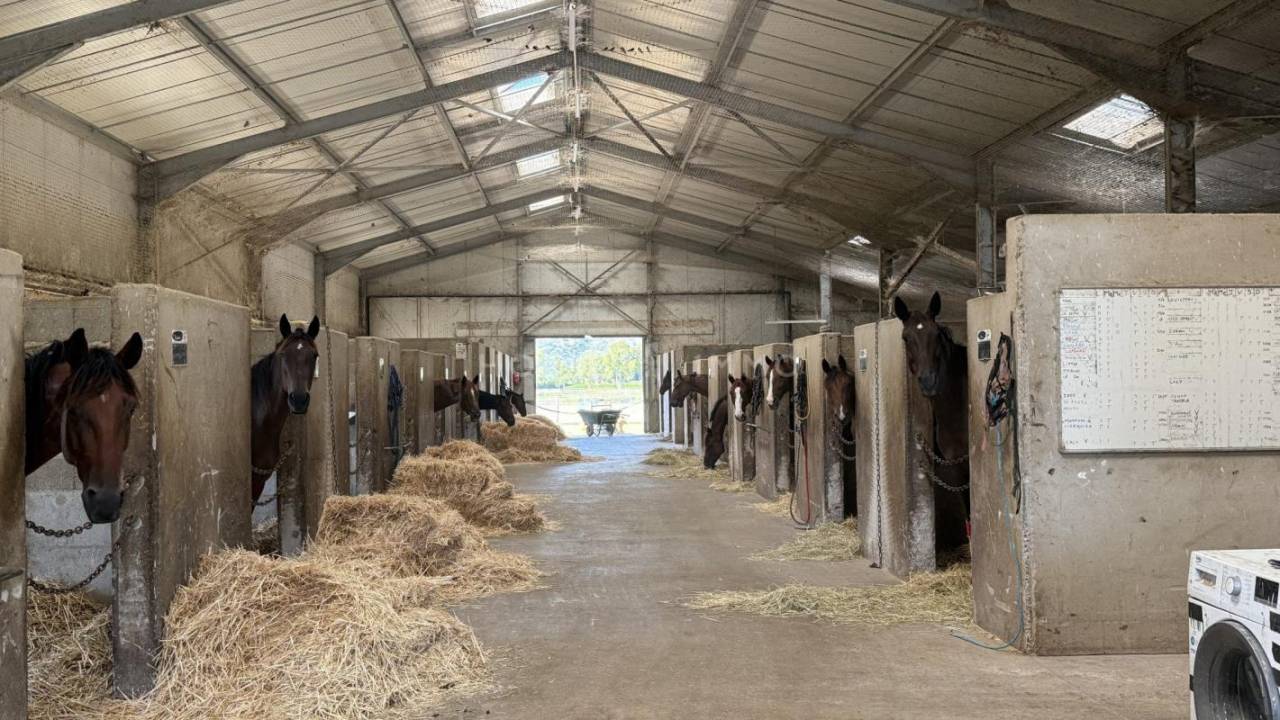 Acaballadero En venta Bocas del Ródano