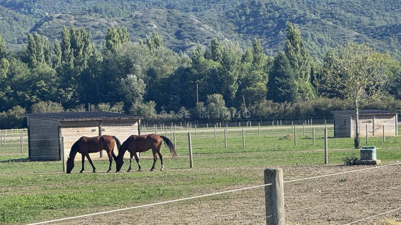 Acaballadero En venta Bocas del Ródano